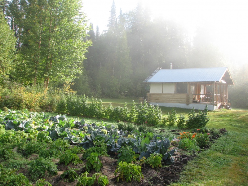 Home Page Up the Creek Bed & Breakfast